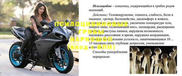 прущий лед Алзамай