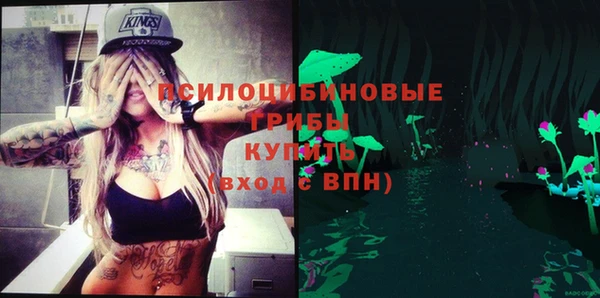 прущий лед Алзамай
