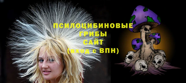 прущий лед Алзамай